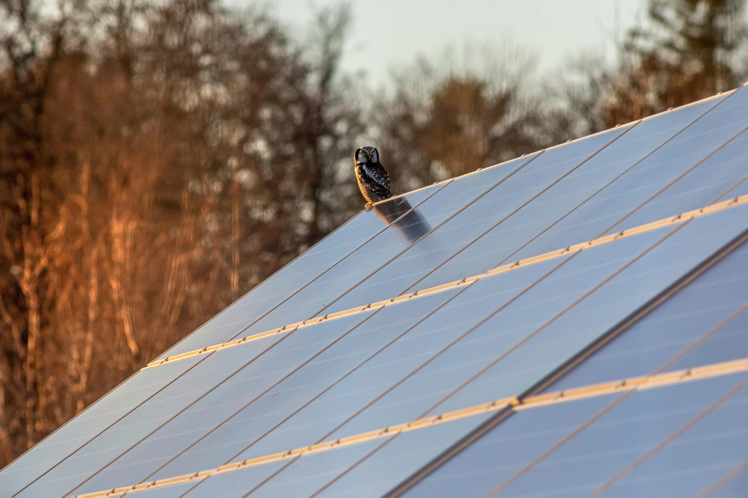 Solar Panel Installation in Wiltshire: A Step-by-Step Guide