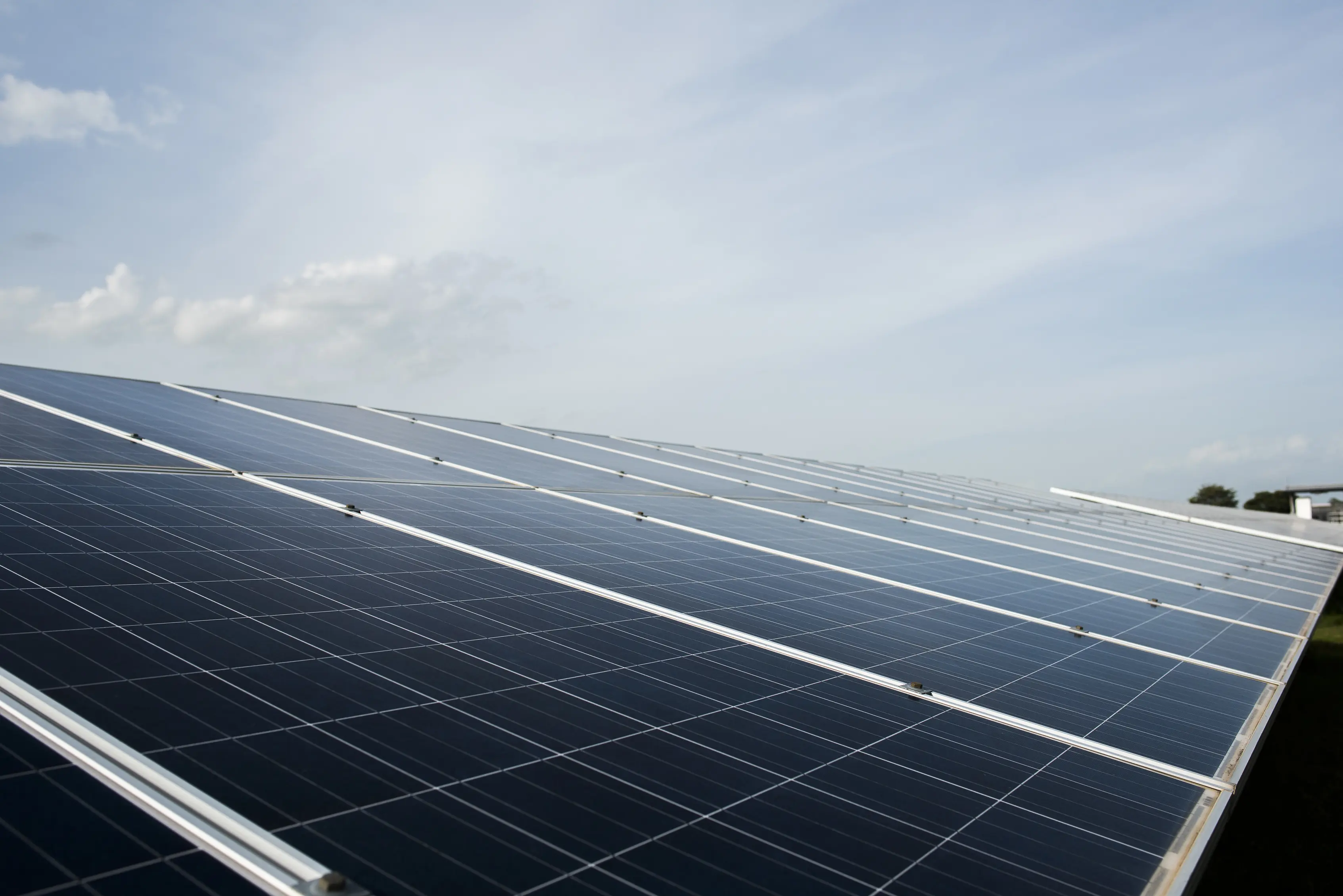 Rows of solar panels under a clear sky, illustrating the lifespan and durability of solar panels in the UK.