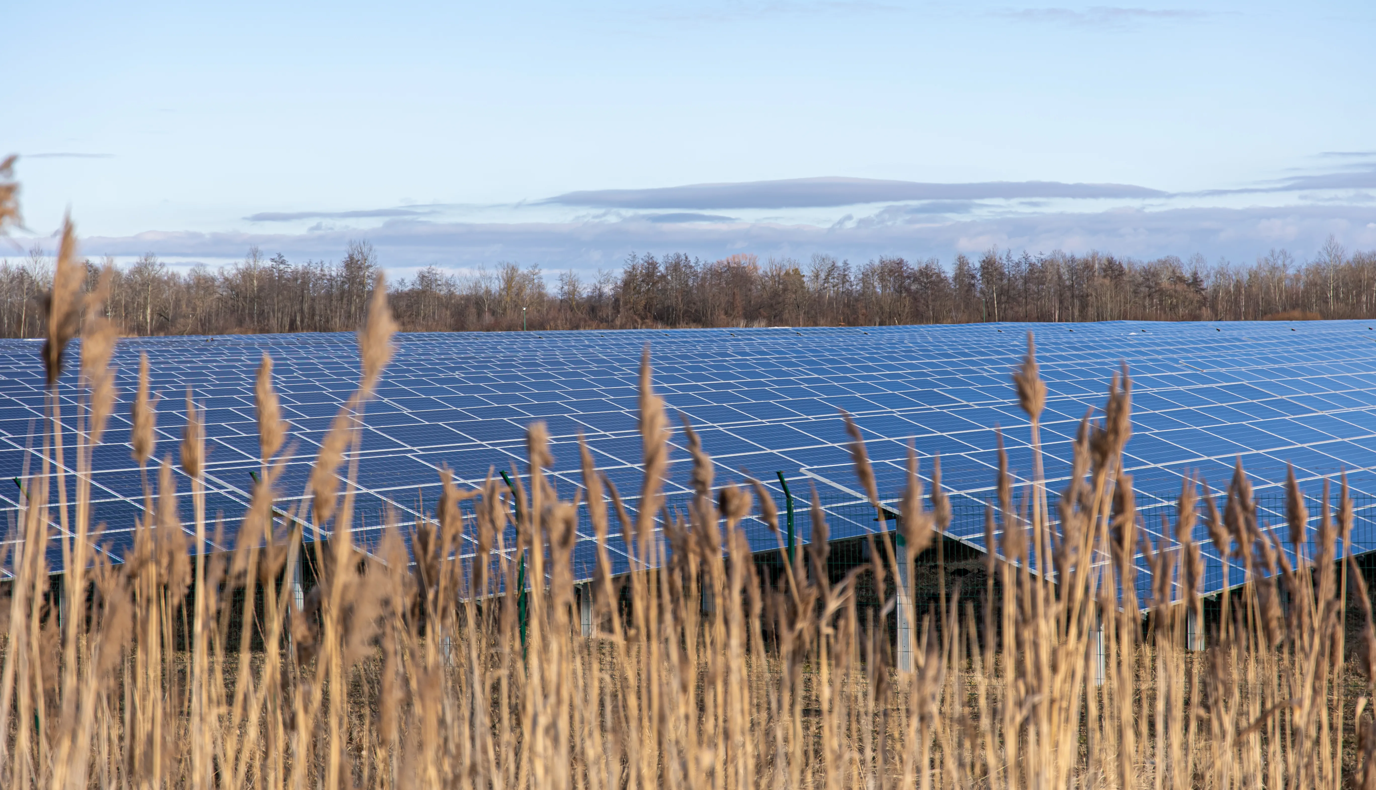 A large solar farm in the countryside, illustrating how community solar projects generate shared renewable energy in the UK.