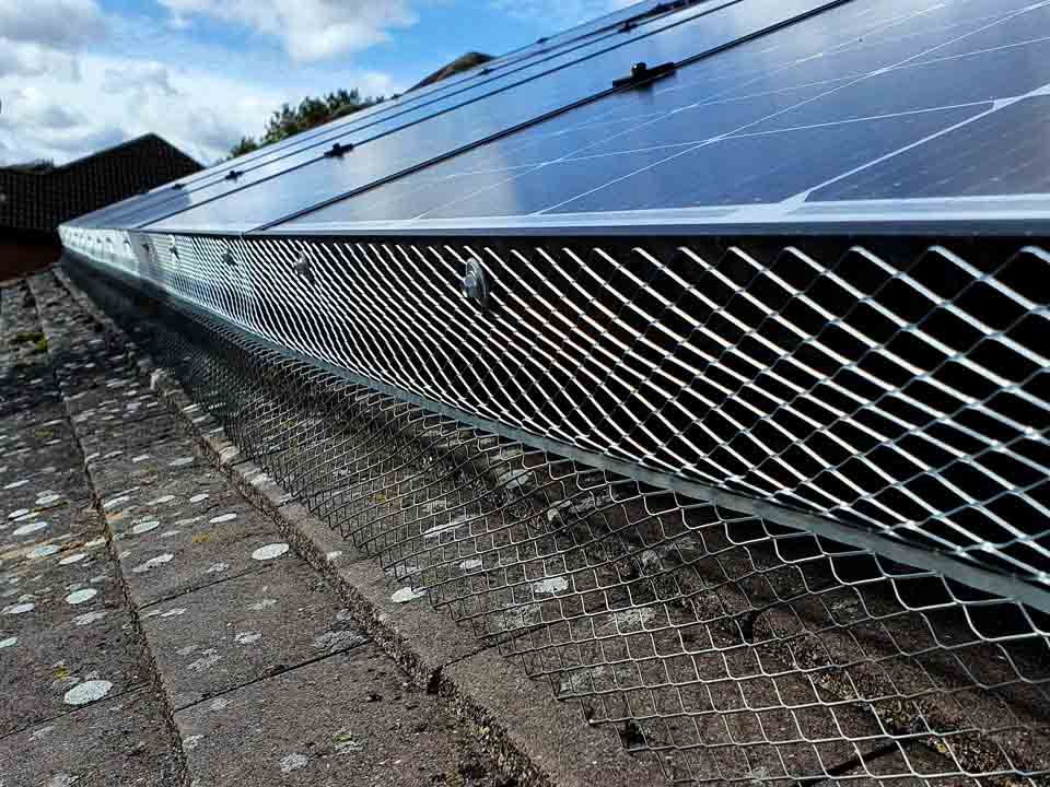 Bird Proofing Solar Panels jpg