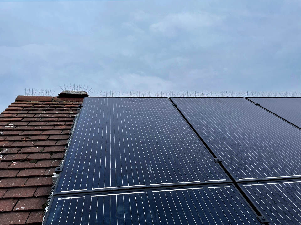 Bird Proofing Solar Panels jpg