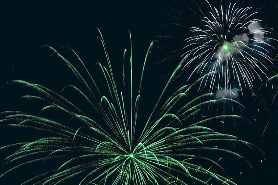 Green New Year Resolutions FI