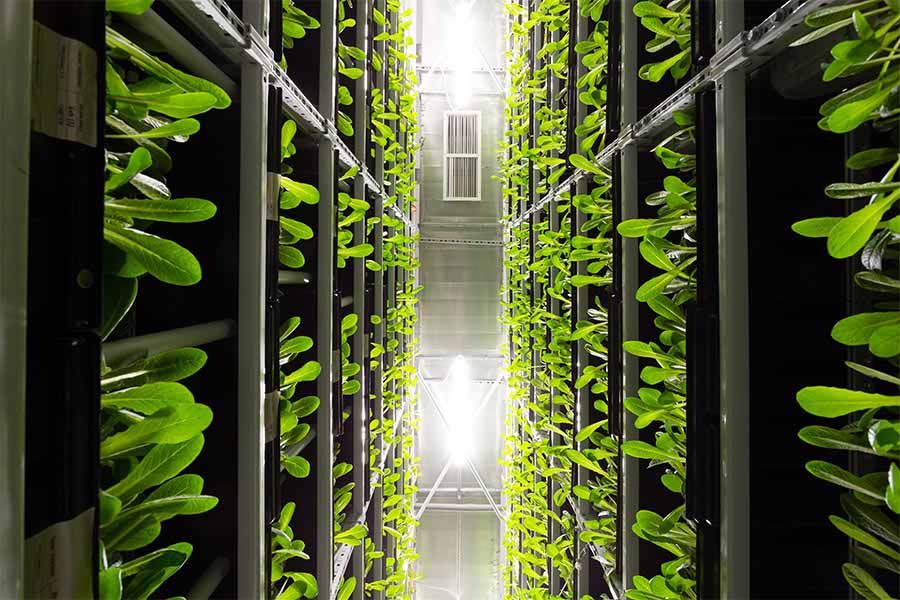Green Website Hosting FI