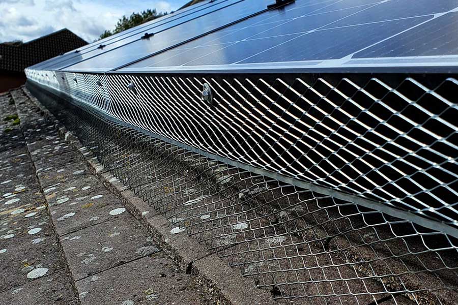 bird proofing FI
