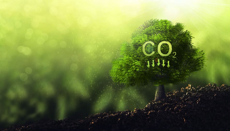 ohm energy feature