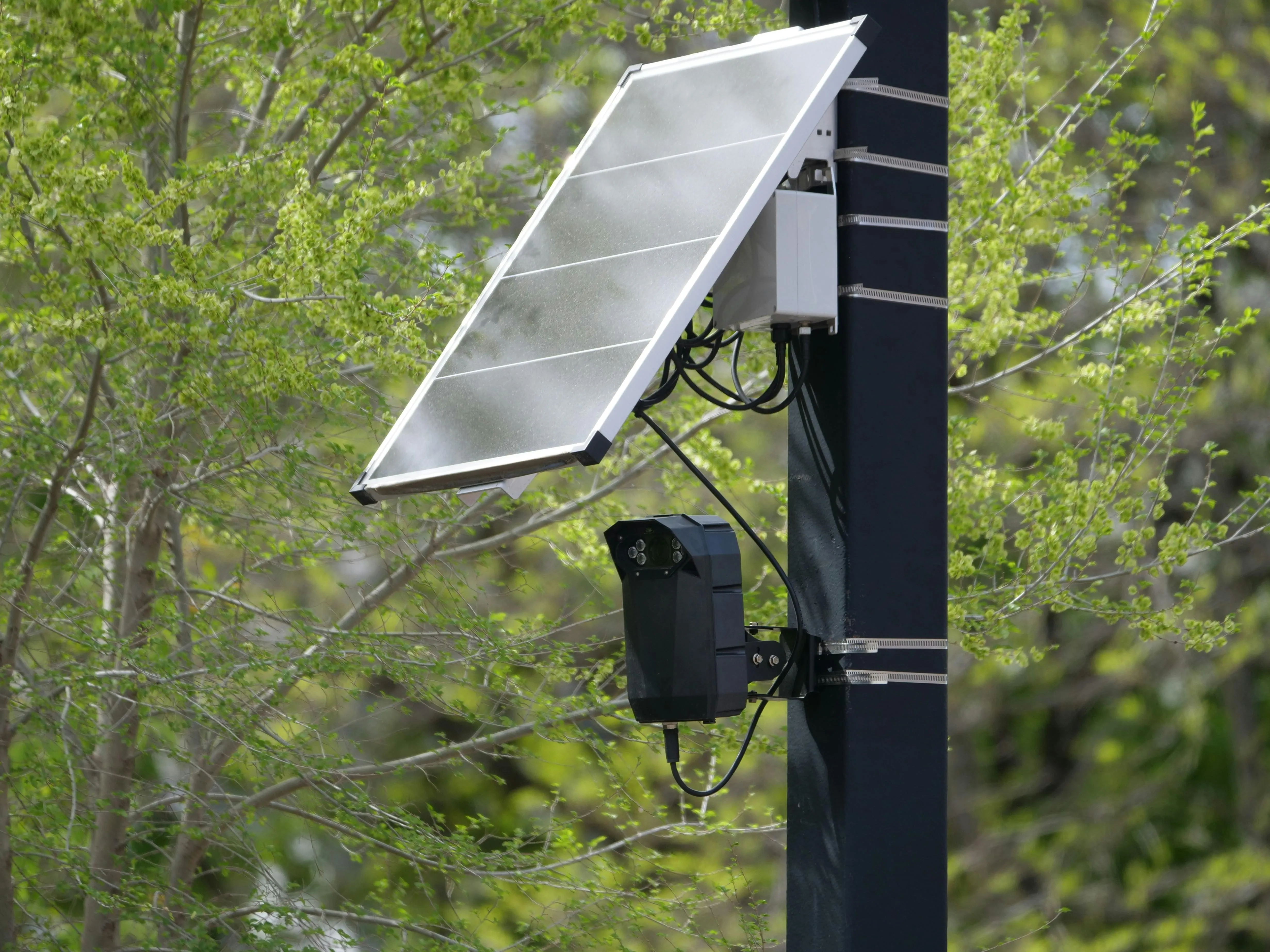 Solar-powered monitoring device mounted on a pole outdoors, demonstrating renewable energy technology operating independently in a natural environment.